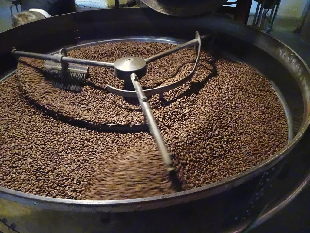 Coffee beans turning in a roasting drum